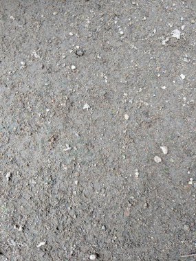 Sert tema arkaplanı için nemli tropikal toprak dokusu