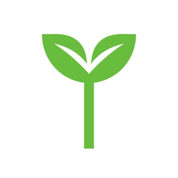 Σχεδιασμός Εικονιδίου Πράσινου Φυτού Απλή Διανυσματική Απεικόνιση — Διανυσματικό Αρχείο