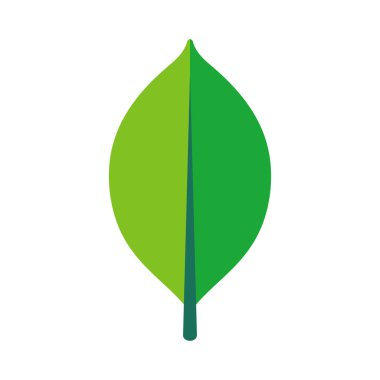 Basit yeşil yaprak, beyaz arkaplanda izole edilmiş, düz vektör çizimi tasarımı