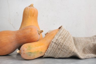 Balkabaklarının doğal ışığı, mermer zeminde bir çantada..