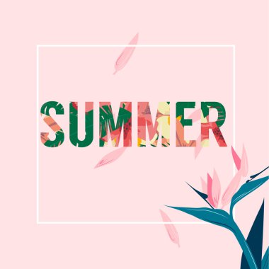 Yaz Meydanı çiçek pembe arka plan vektör görüntü