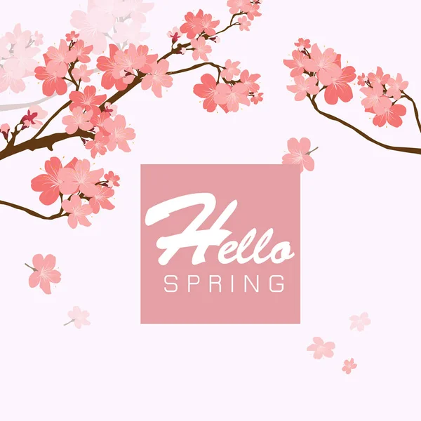 Hello Spring Sakura Background Vector Image — Stock Vector