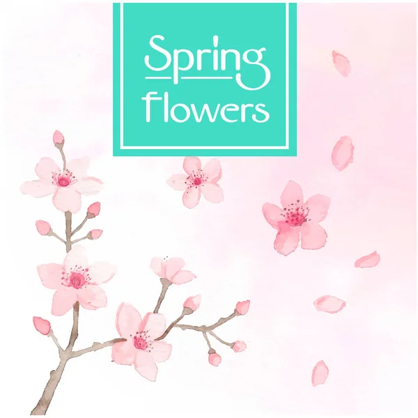 Primavera Flores Sakura Rosa Fundo Vetor Imagem — Vetor de Stock