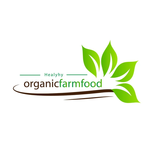 Sağlıklı organik Farmfood yaprakları arka plan vektör görüntü