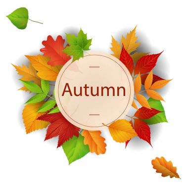 Sonbahar daire Maple Leaf çerçeve arka plan vektör görüntü