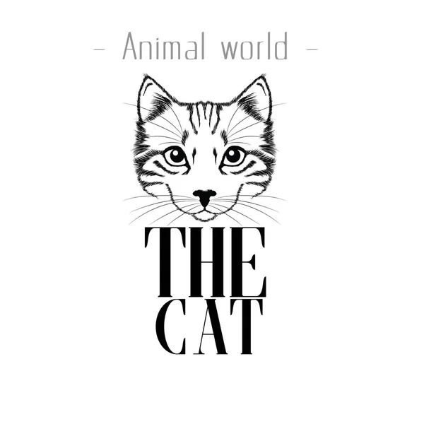 Mundo Animal Imagem Vetor Gato — Vetor de Stock