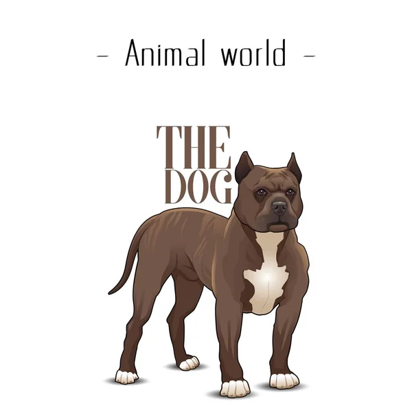 Тваринний Світ Тло Собаки Пітбультер Векторне Зображення — стоковий вектор
