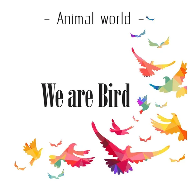 Animal World We Are Bird Colorful Bird Background Vector Image