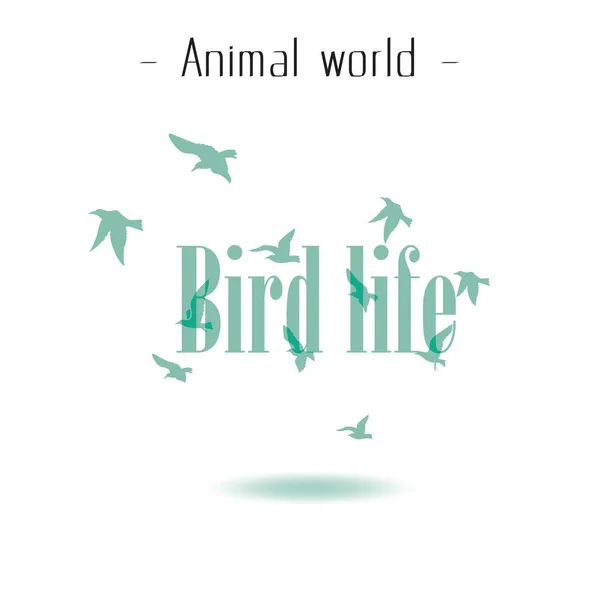 Animal World Bird Life Flying Birds Fundo Vector Imagem — Vetor de Stock