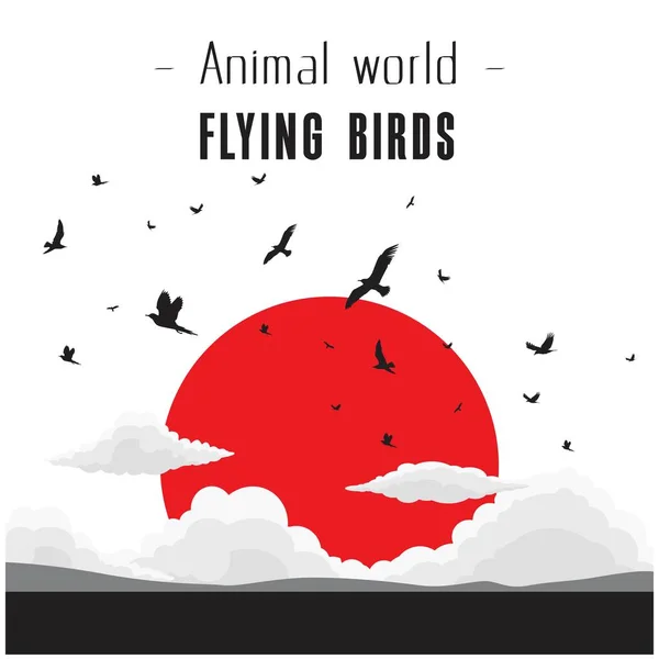 Animal World Flying Birds Cloud And Red Sun Background Vector Image