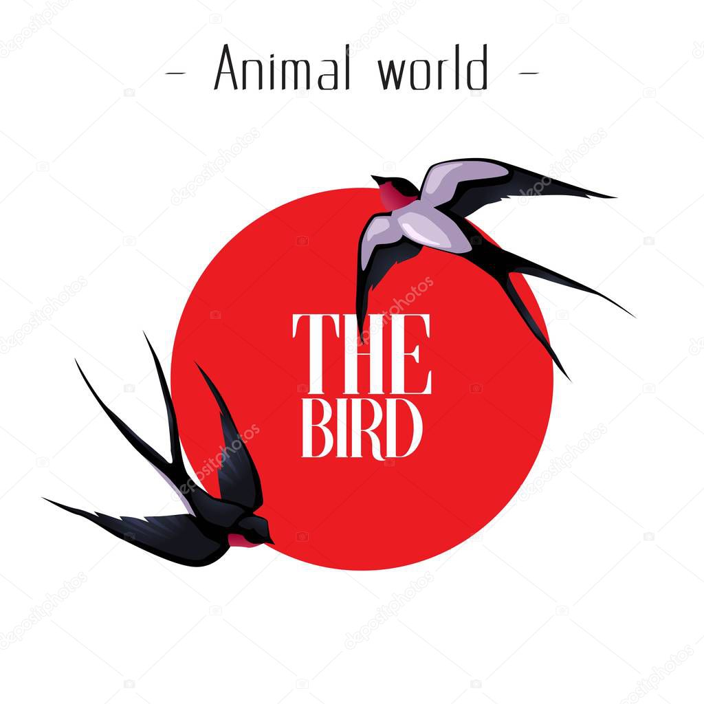 Animal World The Bird Martin Red Sun Background Vector Image