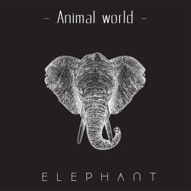 Hayvanlar alemi fil el çizmek taslak başlığı filin görüntü vektör