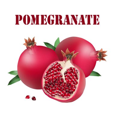 Meyve nar beyaz arka plan vektör görüntü