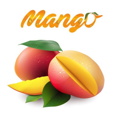 Meyve Mango beyaz arka plan vektör görüntü