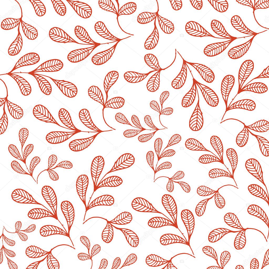 Botanicals Pattern Moringa White Background Vector Image
