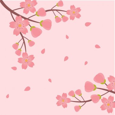 Pembe arka plan vektör görüntü uçan Sakura şube Sakura