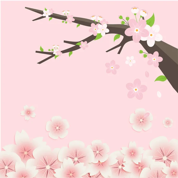 Sakura Tree Flowers Pink Background Vector Image