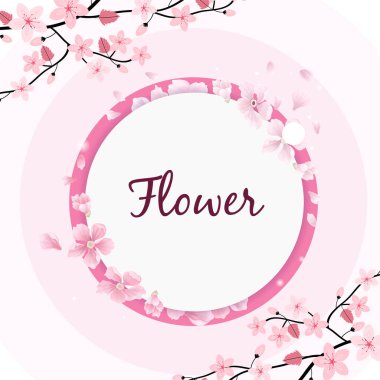 Çiçek daire kare Sakura pembe arka plan vektör görüntü