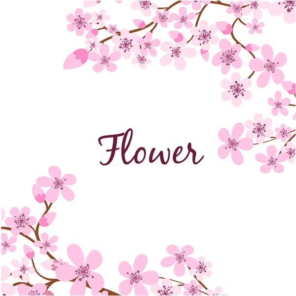 Sakura Branch Flower Pink Background Vector Image