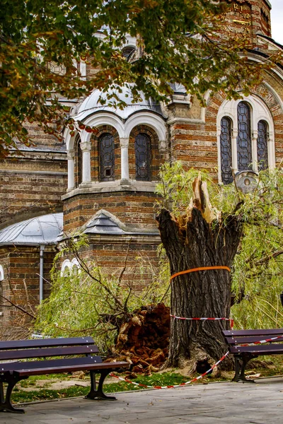 Zlomená Spadlá Vrba Před Kostelem Sedmi Svatých Sofia — Stock fotografie