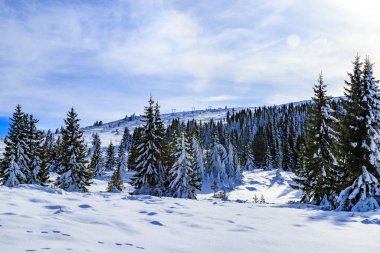 Bulgaristan 'ın Vitosha dağından kış manzaraları
