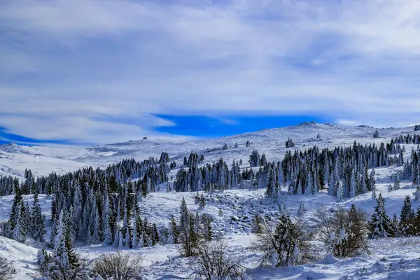 Zimowe Krajobrazy Góry Vitosha Bułgaria — Zdjęcie stockowe