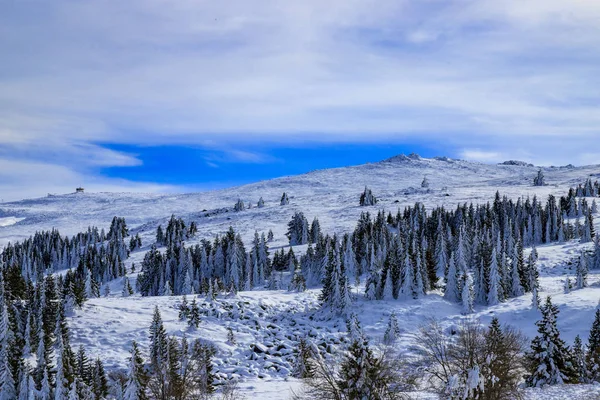 Zimowe Krajobrazy Góry Vitosha Bułgaria — Zdjęcie stockowe