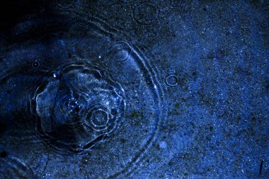 Su, su birikintisi, damlalar, ışık ve mavi daireler