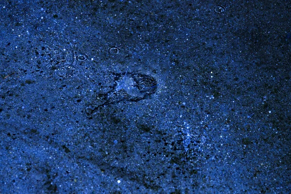 Águas Poça Gotas Luz Círculos Azul — Fotografia de Stock