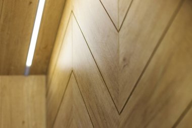 Bulgaristan, Sofya 'da lüks bir daire