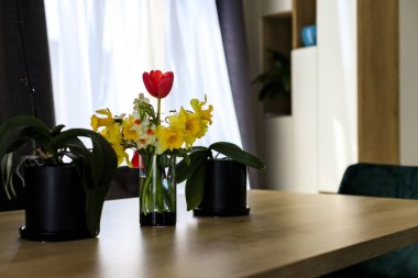 Bulgaristan, Sofya 'da lüks bir daire