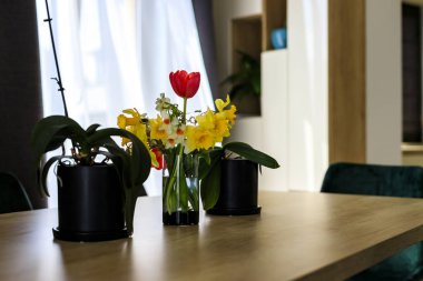 Bulgaristan, Sofya 'da lüks bir daire