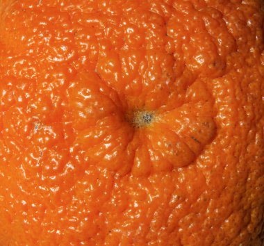 Bir portakala yaklaş