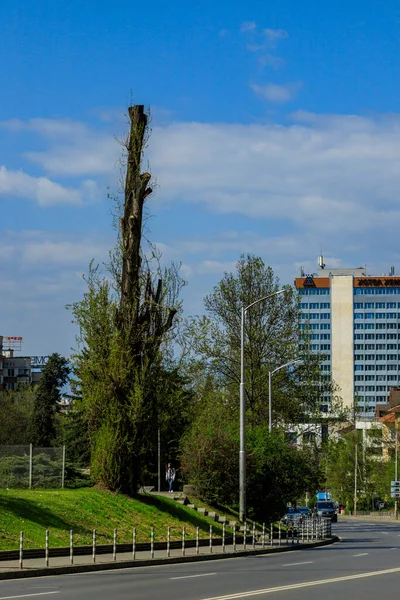 Cherni Vrah Boulevard Sofia Bulgarien — Stockfoto