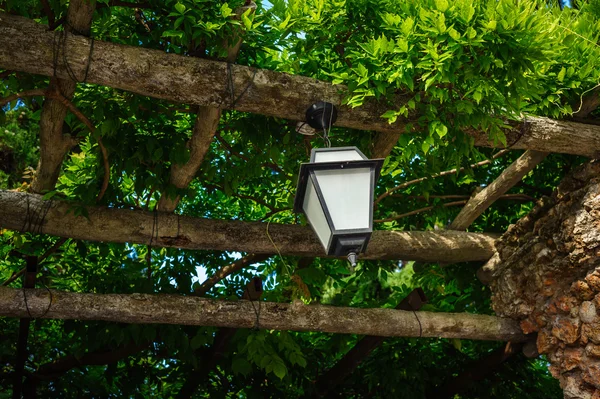 Лампа над воротами Стоковое Фото