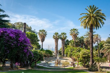 Palmiye ağaçları ve San Remo bir çeşme ile güzel Bahçe