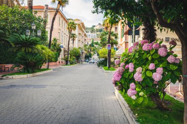 güzel çiçek sokak İtalya