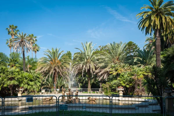 Palmiye ağaçları ve San Remo bir çeşme ile güzel Bahçe — Stok fotoğraf