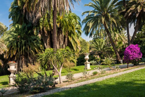 Όμορφο κήπο με φοίνικες και ένα σιντριβάνι στο San Remo — Φωτογραφία Αρχείου