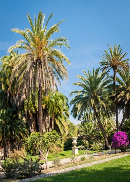 Belo jardim com palmeiras e uma fonte em San Remo — Fotografia de Stock