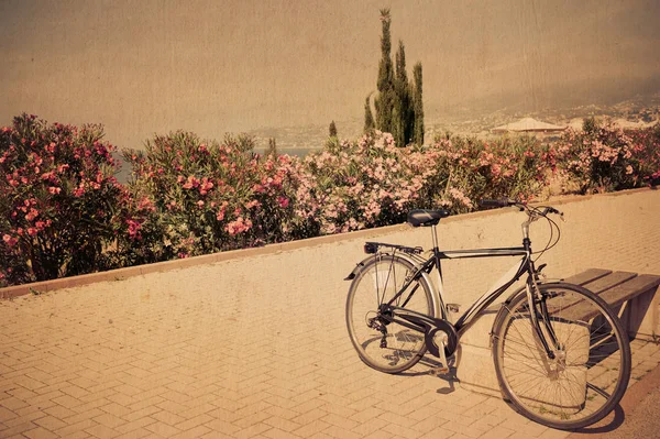 Vintage bicycle photos — Stock Photo, Image