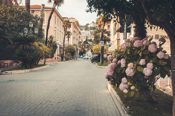 Beautiful blooming street italy — Stock Photo, Image