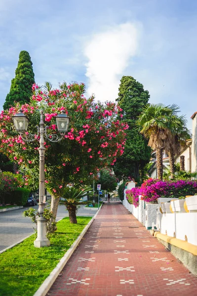 güzel çiçek sokak İtalya