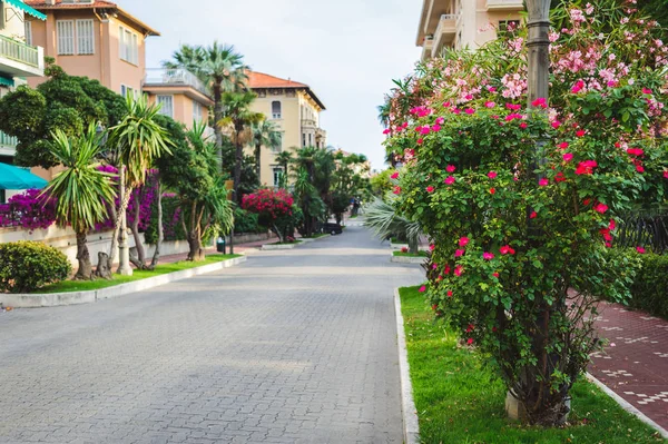 Güzel çiçek sokak İtalya — Stok fotoğraf