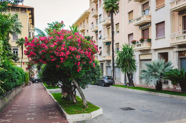 Hermosa florecimiento calle italia — Foto de Stock