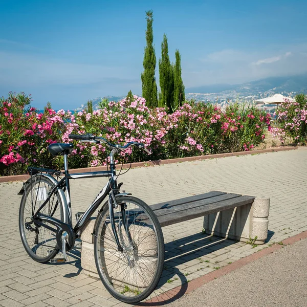 Vintage bicycle photos Стоковая Картинка