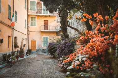 Ventimiglia Antik şehir birçok çiçeklerle yarda. İtalya.
