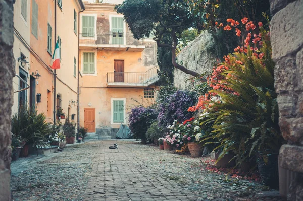 Na dvoře s mnoha květy v starověkého města Ventimiglia. Itálie. — Stock fotografie