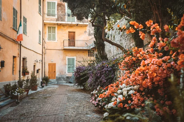 El patio con muchas flores en la antigua ciudad de Ventimiglia. Italia . — Foto de Stock