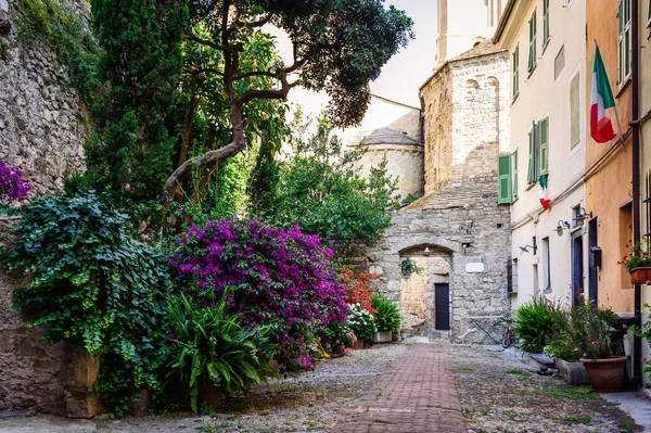 El patio con muchas flores en la antigua ciudad de Ventimiglia. Italia . —  Fotos de Stock